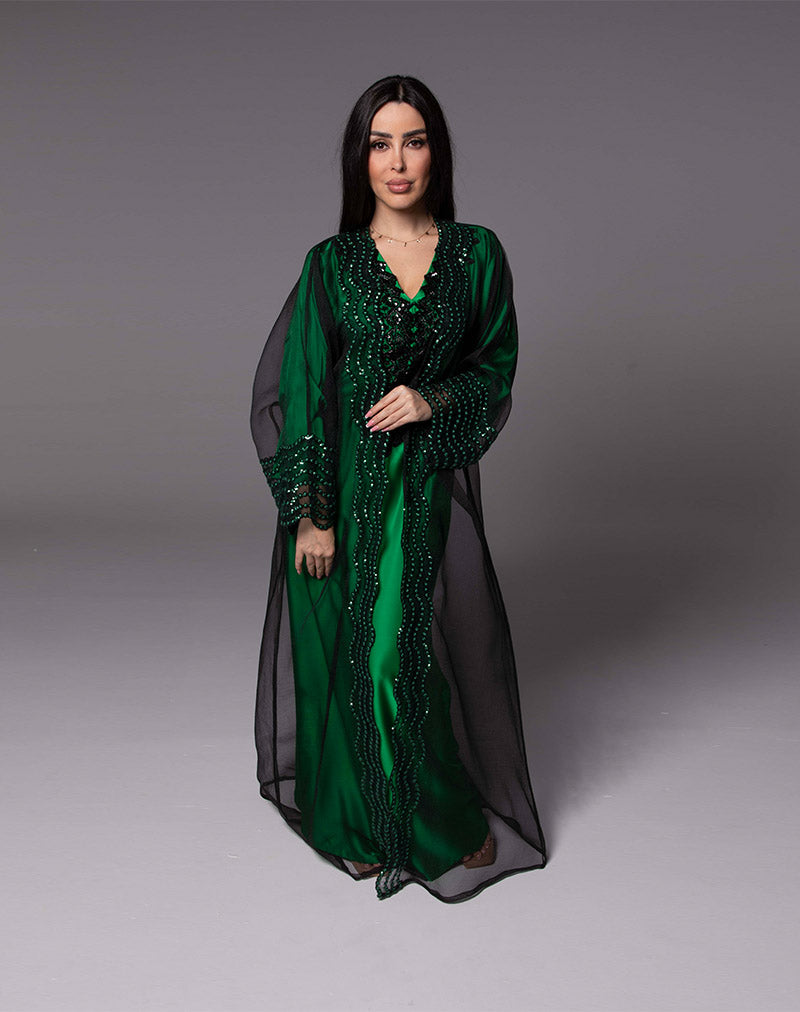 THE AMEERA