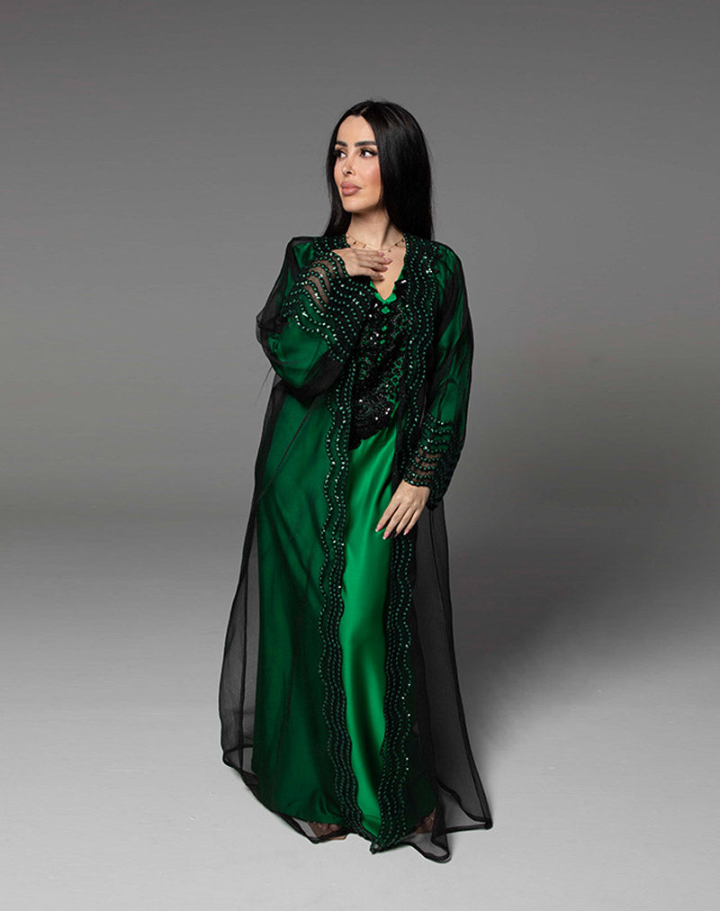 THE AMEERA