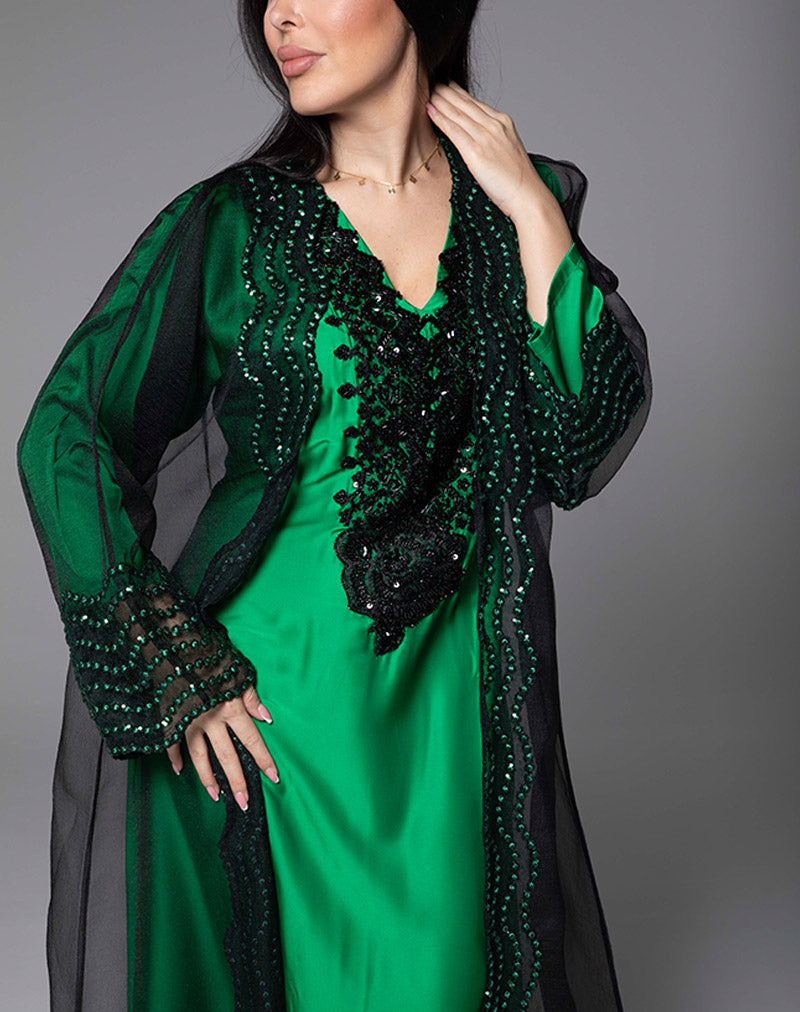 THE AMEERA