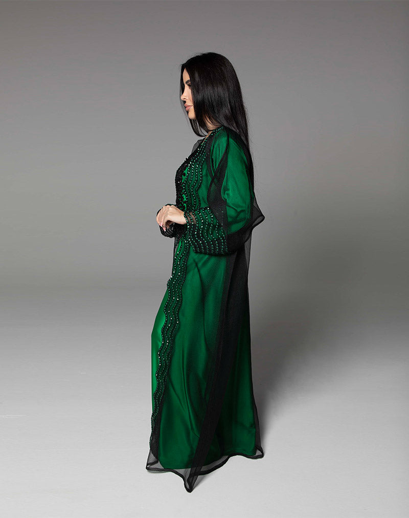 THE AMEERA