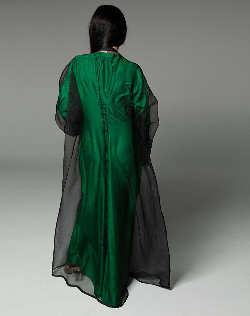 THE AMEERA